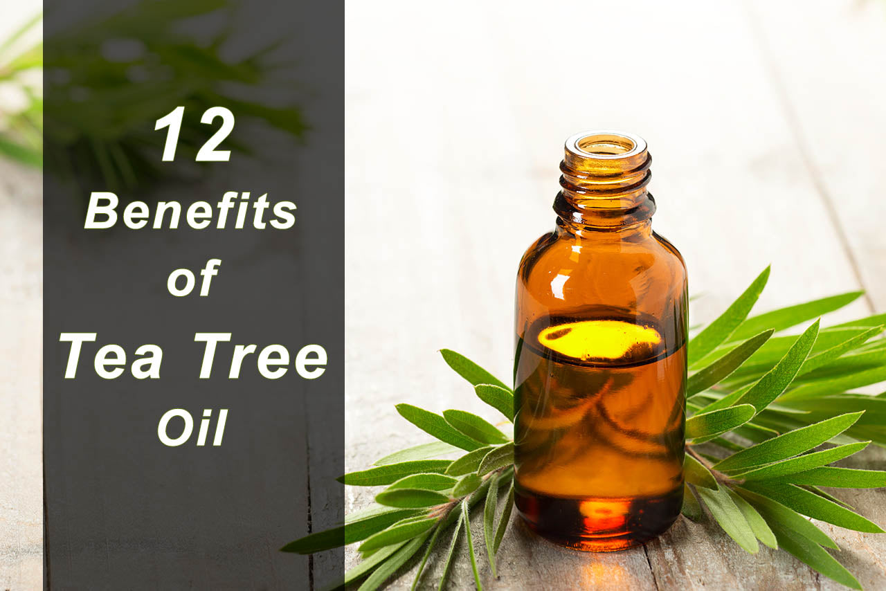 12 Tea Tree Oil Benefits & Why We Use It – Solpri