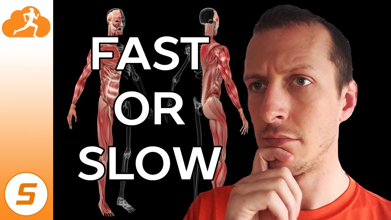 Fast twitch vs slow twitch muscle fibers