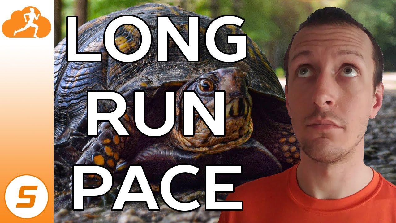 is-my-long-run-pace-too-fast