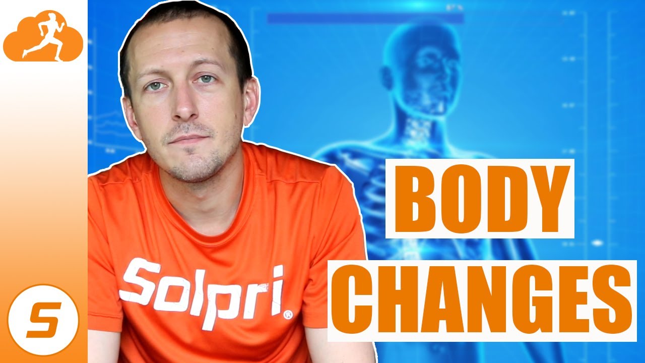 What happens to your body after 30 minutes of running – Solpri